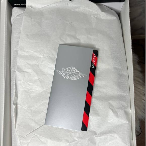 Chicago Retro Jordan 2 (Brand New) - Picture 4 of 8